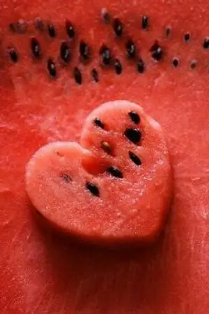 ปกนิยาย (ไม่แต่งต่อ)ม่งว่าม่งบ้า[bl][yaoi]