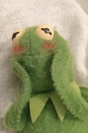 ปกนิยาย (SF/OS HONGMARK) Americano bear and his baby lion ☕❤