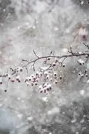 ปกนิยาย MINE. [FOREVER] #hongmark