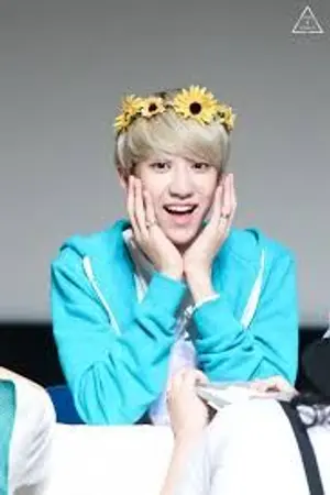 ปกนิยาย [ seventeen x you ]  secret love ความลับความรัก