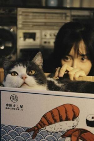 ปกนิยาย 404 NOT FOUND ☣︎
