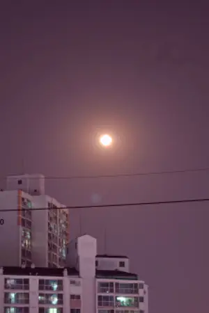 ปกนิยาย (Produce101) Balance | Holin , โฮลิน