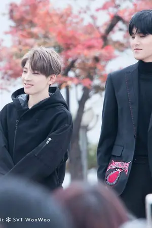 ปกนิยาย [SEVENTEEN] แพ้แล้วพาลมินวอน