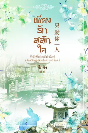 ปกนิยาย