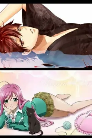 ปกนิยาย fic KNB Love this  นายจักรพรรดิ์ vs คุณหนูยากุซ่า [Akashi x oc]