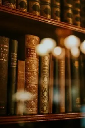 ปกนิยาย Storyteller for library ห้องสมุดของนักเล่านิทาน