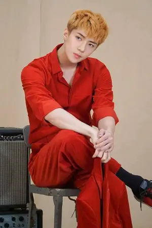 ปกนิยาย • P E R S I D E N T • [SEHUN x YOU]