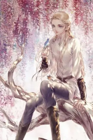 ปกนิยาย fantasy เกิดใหม่ในโลกเวทมนตร์