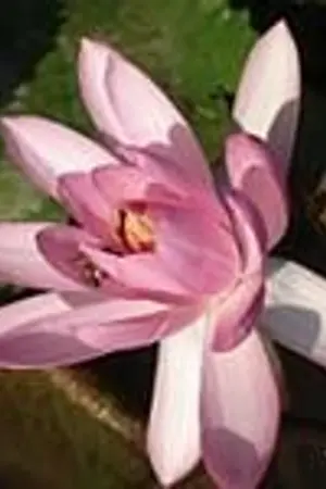 ปกนิยาย ยี่ สิ บ #20ฮล