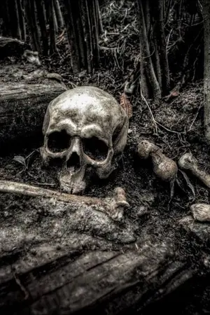 ปกนิยาย คืนเดียวจำฝังใจไปจนตาย