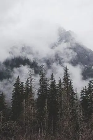 ปกนิยาย ดวงตะวันของจันทร์เจ้า