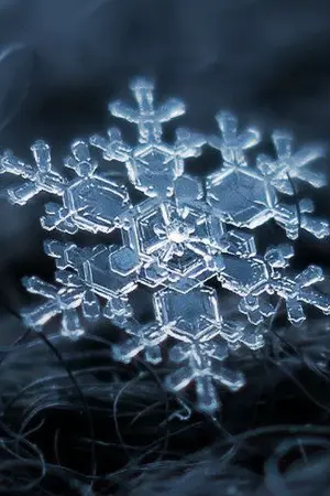 ปกนิยาย ❖PRODUCE101❖ | เจ้าชายปีศาจ หิมะ Yuki-Onna | ❖Holin❖