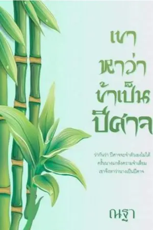 ปกนิยาย เขาหาว่าข้าเป็นปีศาจ (E-book)