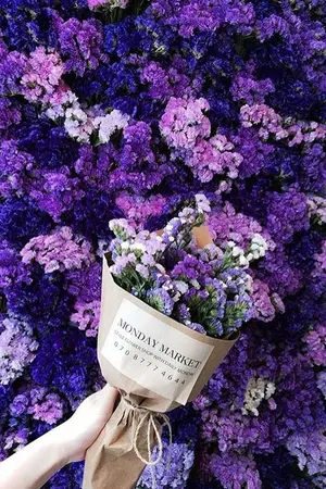 ปกนิยาย SF/OS STATICES | CHANBAEK