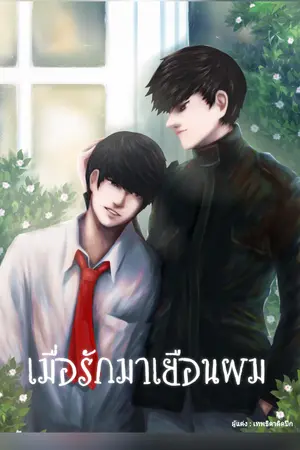 ปกนิยาย