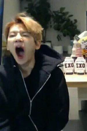 ปกนิยาย IT IS A NICE ESCAPE (sf/os) | EXO