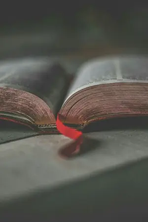 ปกนิยาย คะนึงหาข้ามภพ