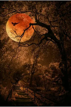 ปกนิยาย สาปสางป่าช้า หลังนิทราในสุสาน