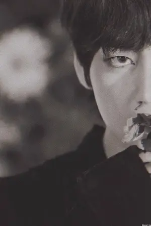 ปกนิยาย [FIC BTS : KOOKV & YOONMIN ] : You Are My Everything