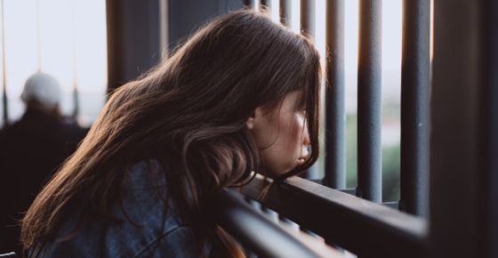 รูปภาพจาก    Freepik.com