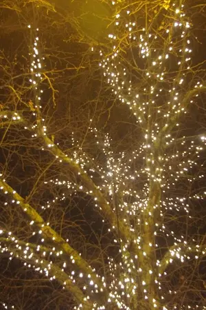 ปกนิยาย [sf] The Dreamers’ Winter - Noren Markchan Songle