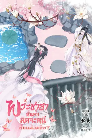 ปกนิยาย พระชายา นั่นเจ้าคิดจะหนีอีกแล้วหรือ? (ติดเหรียญ)