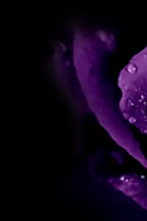 ปกนิยาย Walk in Clothes 2 (อีกากินทุเรียน)