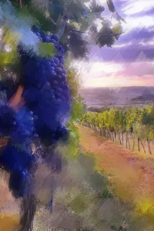 ปกนิยาย ดวงใจของสายลม | Wind of Destiny