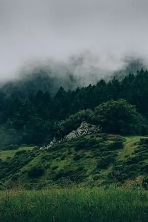 ปกนิยาย เกี่ยวฟ้ามารัก l Sky of Destiny