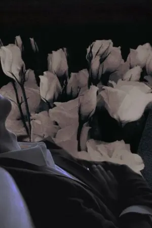 ปกนิยาย พยัคฆ์ซ่อนลาย l Trap of Destiny