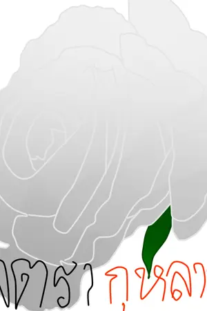 ปกนิยาย มลตรากุหลาบขาว