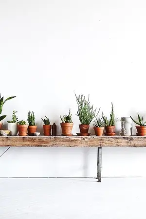 ปกนิยาย [NCT] •^• Twins •^• TaeTen | Thai ver.