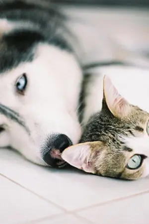 ปกนิยาย (OS/SF) ALL ABOUT JAEYONG