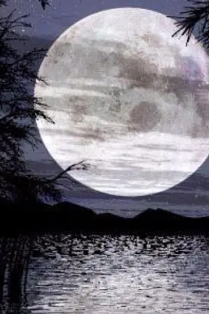 ปกนิยาย The vampire in love(รัตติกาลแห่งรัก)