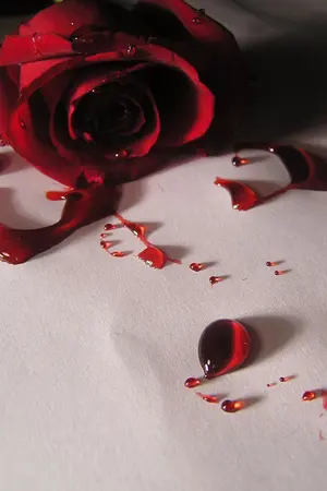 ปกนิยาย แค้นซ่อนรัก(layfany ft krissica and lutae)