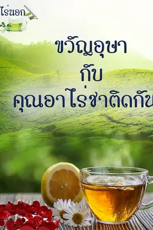 ปกนิยาย