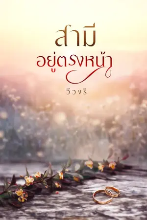 ปกนิยาย