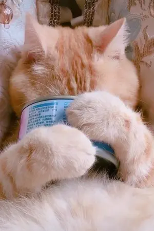 ปกนิยาย Among many people, I found you. [JARK]