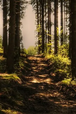 ปกนิยาย Imagine love