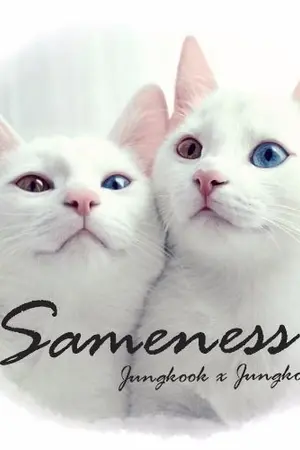 ปกนิยาย Sameness [Jungkook x Jungkook] #ดวงใจเจเค