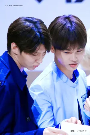 ปกนิยาย FATE LeoN