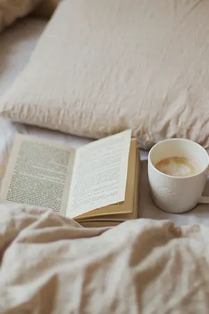 ปกนิยาย หนอนหนังสือ​ (hunhan)​