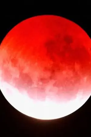 ปกนิยาย Purity