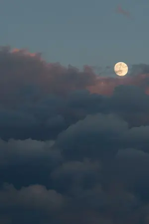 ปกนิยาย [NU'EST | MinJ] Moony