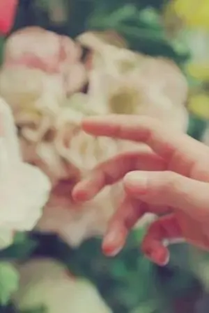 ปกนิยาย [NU'EST | MinJ] Amaranth