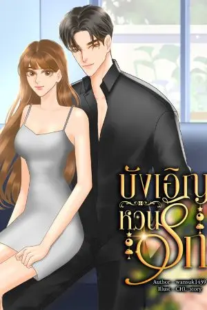 ปกนิยาย บังเอิญหวนรัก