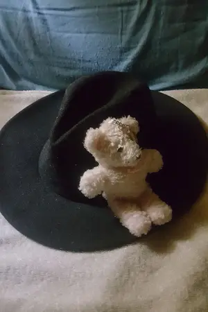 ปกนิยาย ระวังความตายจะมาเยือนพวกมึง