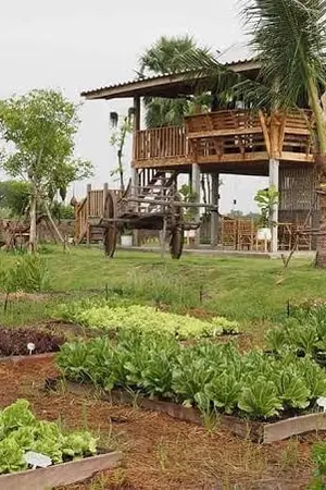 ปกนิยาย บ้านสวนที่รัก