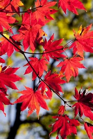 ปกนิยาย OS/SF MARKBAM It’s all right