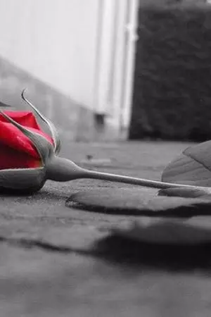 ปกนิยาย - HEART DEBT -